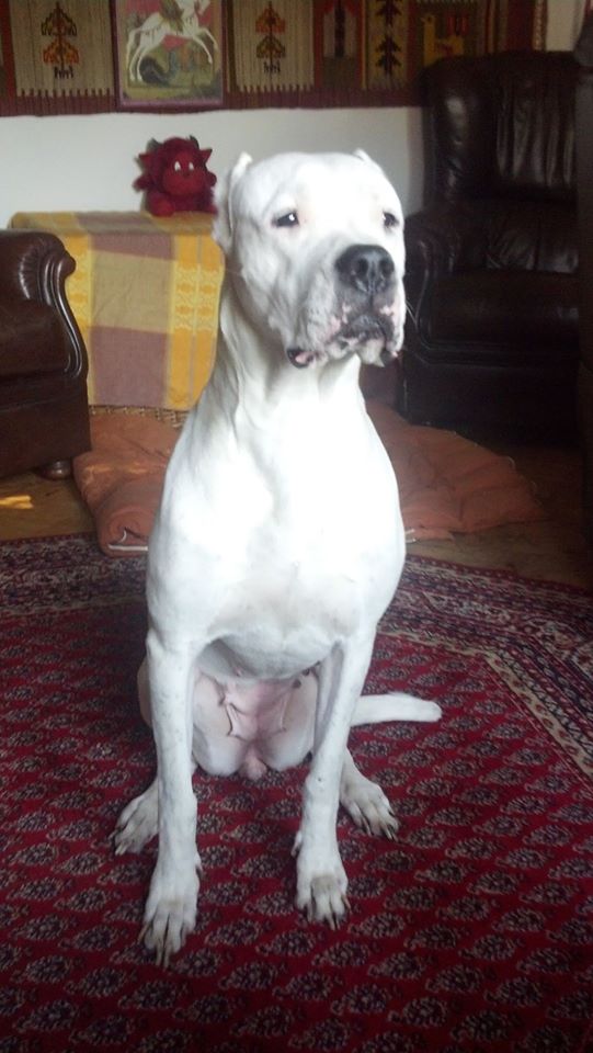 Atlanta pozdrawia ze swojego domu